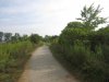 IMG_7882.JPG
