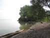 IMG_7896.JPG