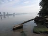 IMG_7899.JPG