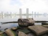 IMG_7910.JPG