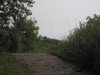IMG_7916.JPG