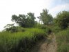 IMG_7942.JPG