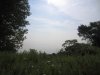 IMG_7943.JPG
