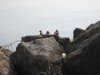 IMG_7949.JPG