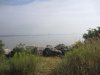 IMG_7986.JPG