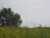 IMG_8004.JPG
