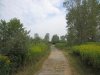 IMG_8005.JPG