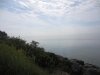 IMG_8019.JPG
