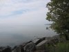 IMG_8020.JPG