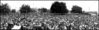 Toronto waterfront crowd c.1922 LAC.jpg