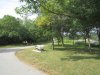 IMG_8067.JPG