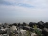 IMG_8131.JPG