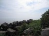 IMG_8132.JPG