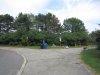 IMG_8163.JPG