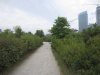 IMG_8175.JPG