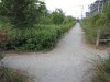 IMG_8184.JPG
