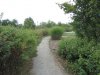 IMG_8185.JPG