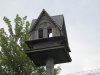 IMG_8189.JPG