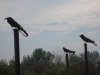 IMG_8191.JPG