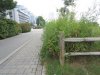 IMG_8211.JPG