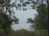 IMG_8231.JPG