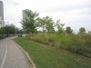 IMG_8232.JPG