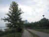 IMG_8284.JPG