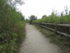 IMG_8339.JPG