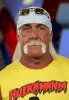 hulk-hogan-02.jpg