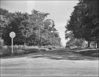 Looking south from Steeles Ave. along Bathurst 1958 TPL.jpg