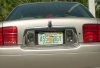 funny-license-plates-ass-orgy-florida.jpg