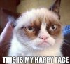 Grumpy-Cat-Purina.jpg