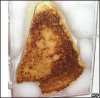 _40534689_toastie-afp203.jpg