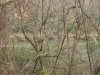 IMG_0369.JPG