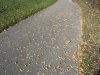 IMG_0377.JPG