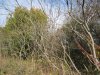 IMG_0378.jpg