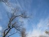 IMG_0393.JPG