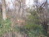 IMG_0418.JPG