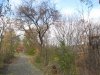 IMG_0421.JPG