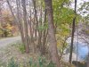 IMG_0464.JPG
