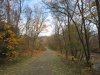 IMG_0466.JPG