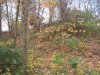 IMG_0467.jpg