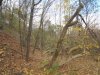 IMG_0476.jpg