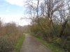 IMG_0477.JPG