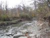 IMG_0491.JPG