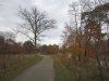 IMG_0505.JPG