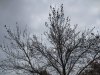 IMG_0517.JPG