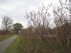 IMG_0518.JPG