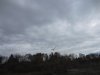 IMG_0538.JPG