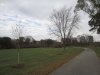 IMG_0545.JPG